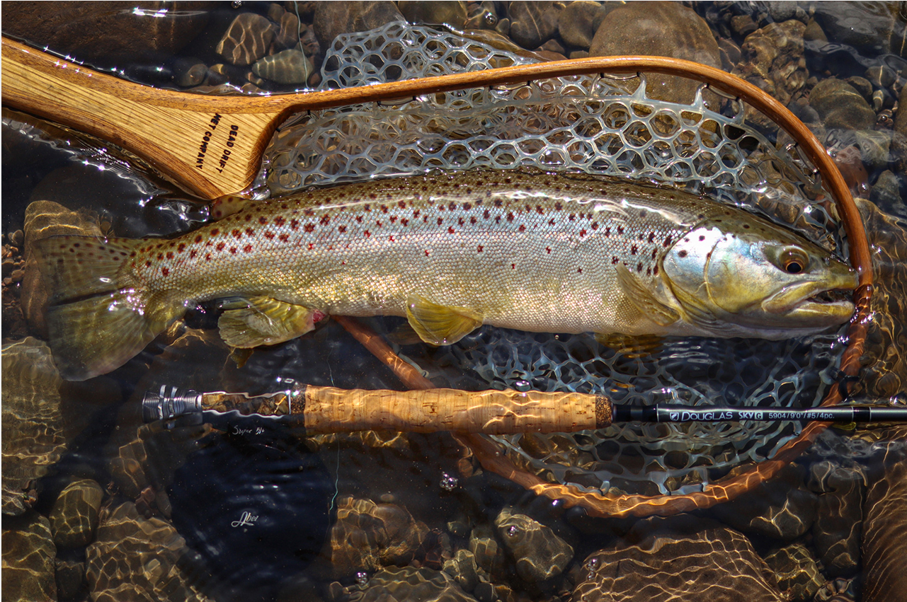 Best Trout Fly Rods & Reels