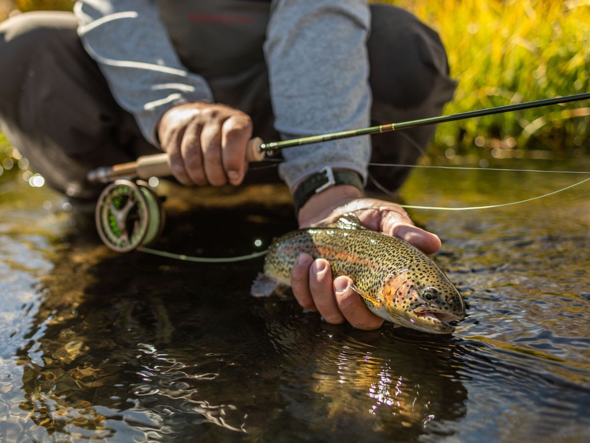 Rainbow Trout Fishing Best Trout Rod And Reel Combo Best Trout