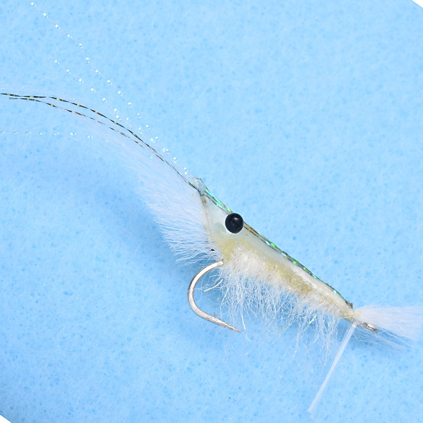 EP Grass Shrimp Transparent #1