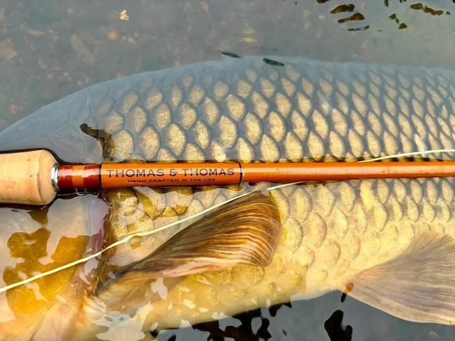 Thomas & Thomas EXOCETT 88 Review: Model-by-Model Fly Rod Review Thomas & Thomas EXOCETT 88 Review: Model-by-Model Fly Rod Review