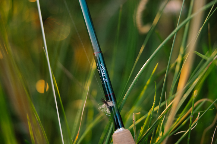 Winston Pure 2 Fly Rod Review Model by Model - A Refined Delicacy