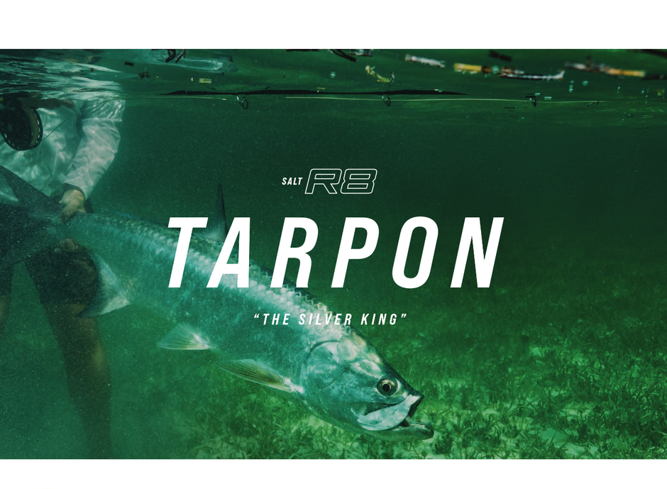 Best Fly Rods for TARPON in 2024