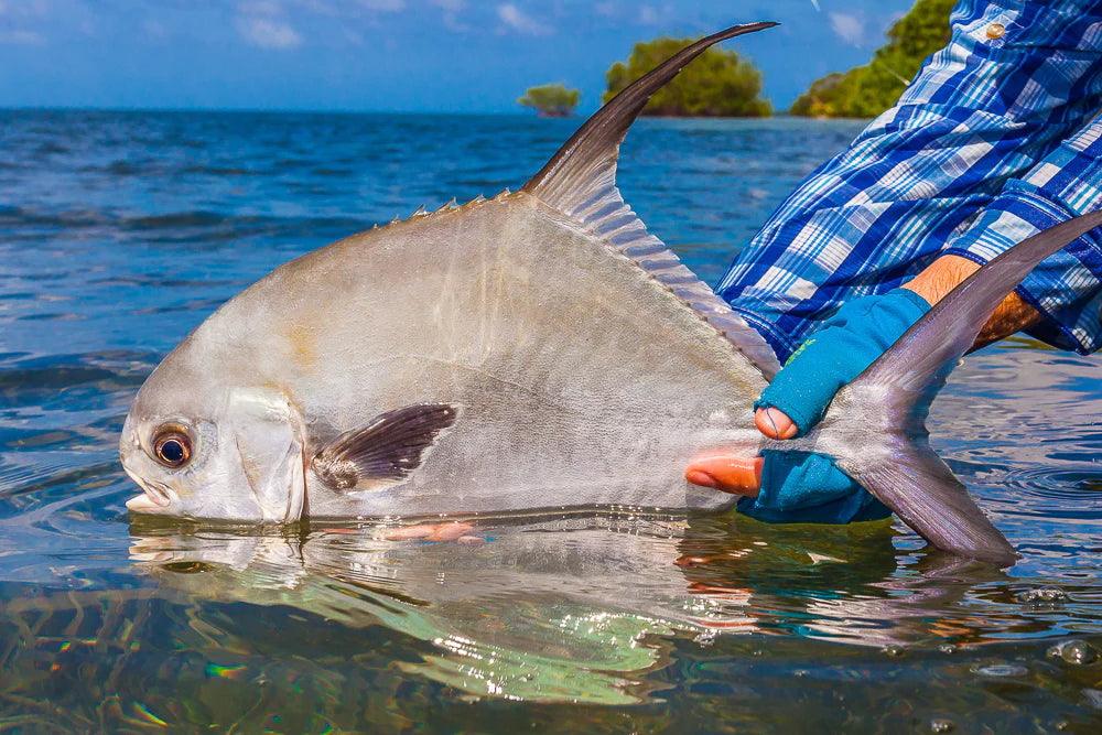 Best Fly Rods for Belize Plus Flies & Reel Suggestions!