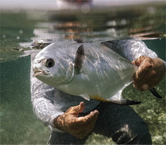 Best Fly Rods for Permit