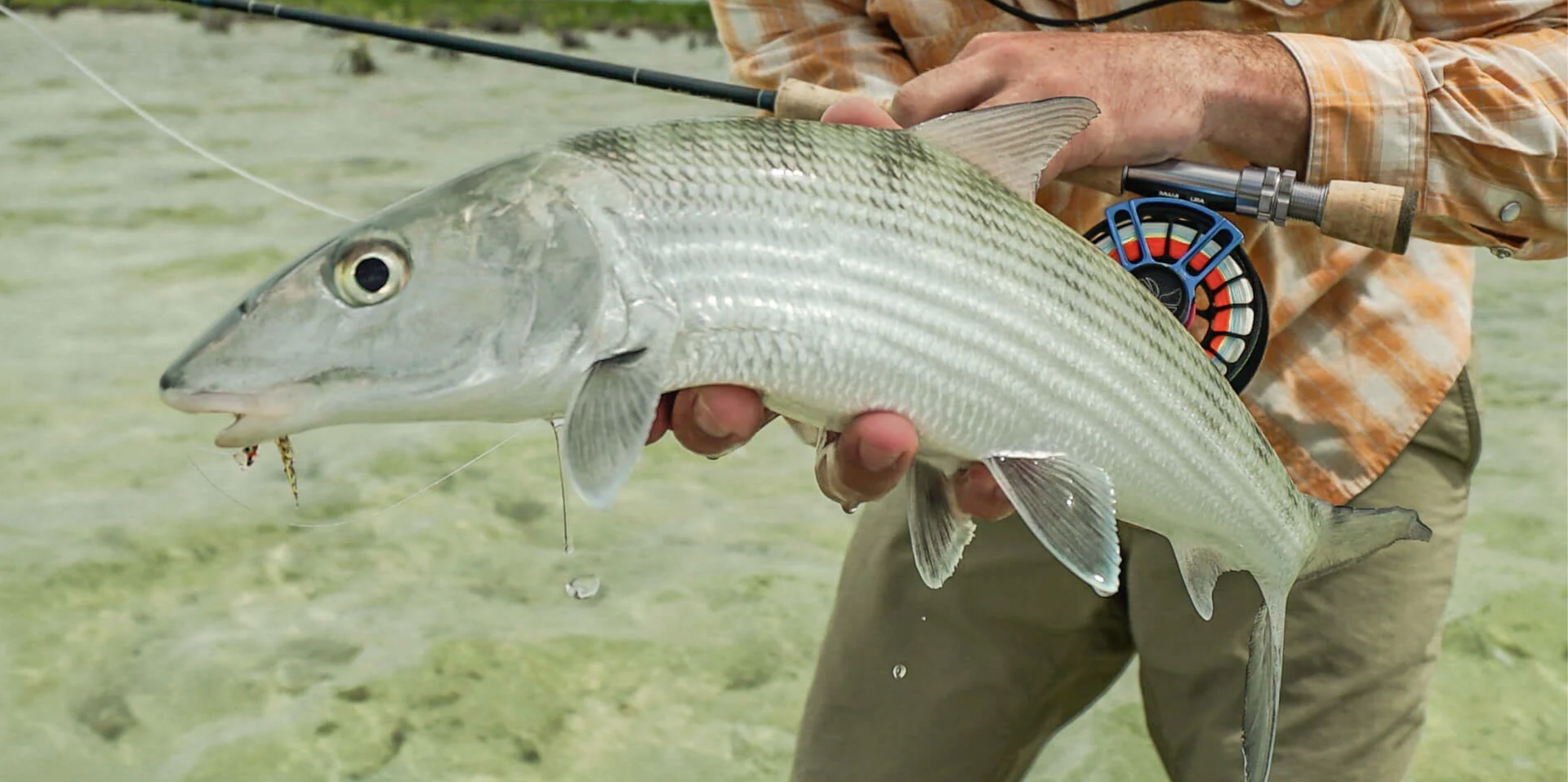 Frequently Asked Questions of How do you choose the right fly fishing line?