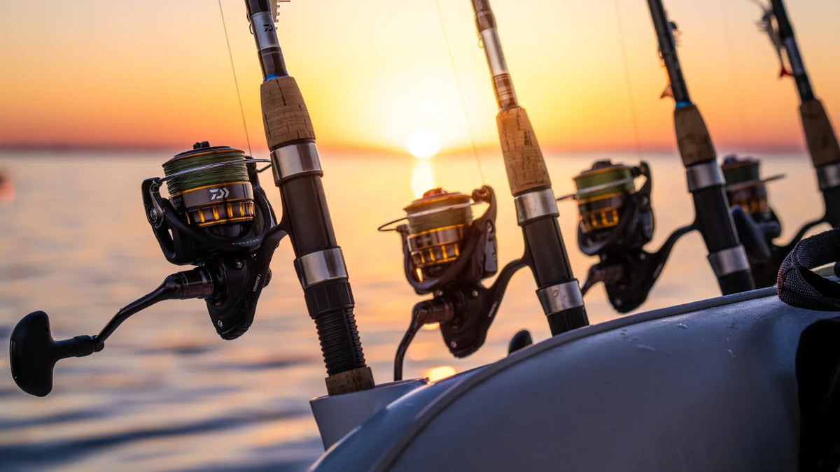 Spinning Reels