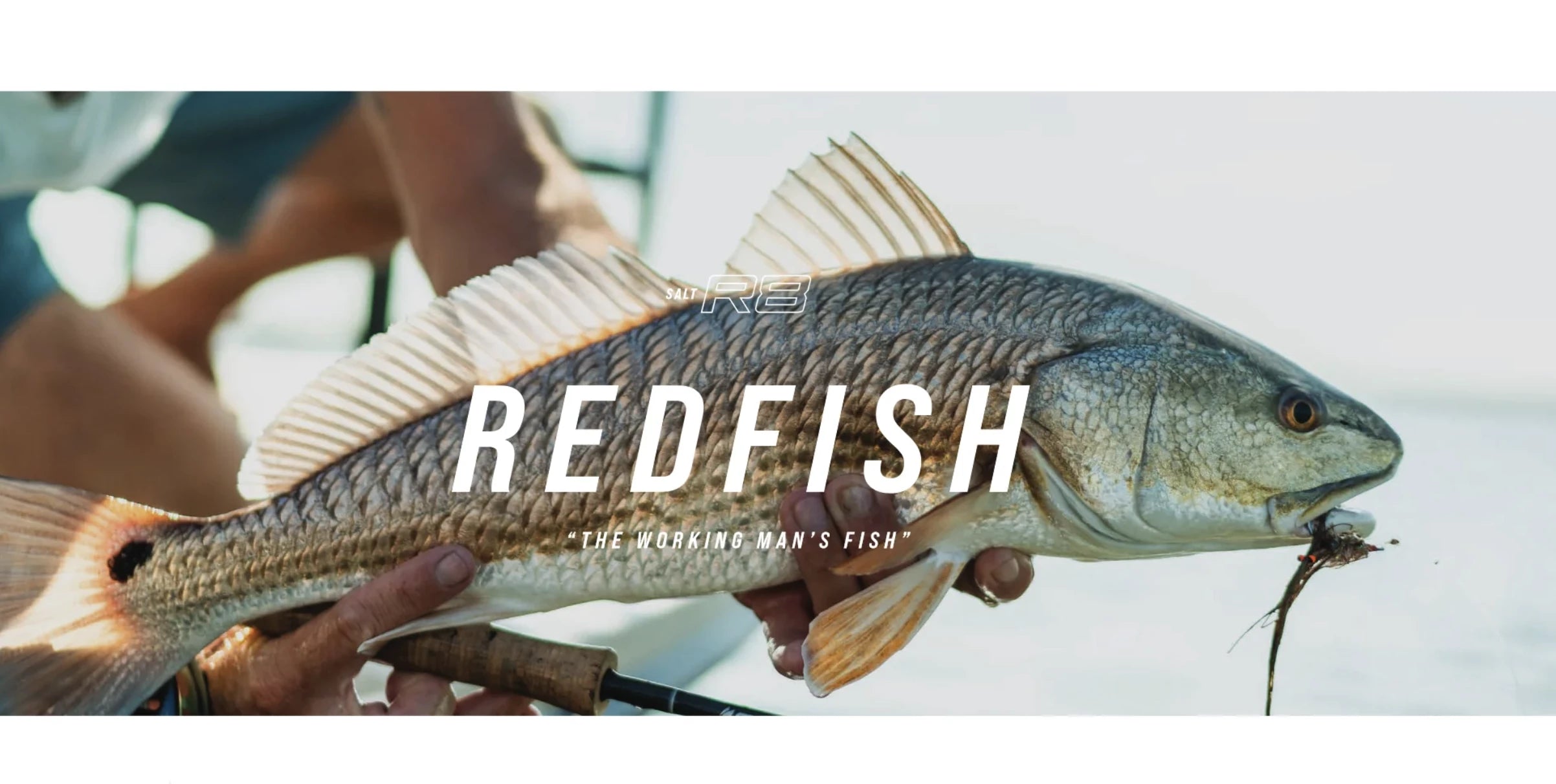 Best Redfish Fly Rods – Salt Fly Pro