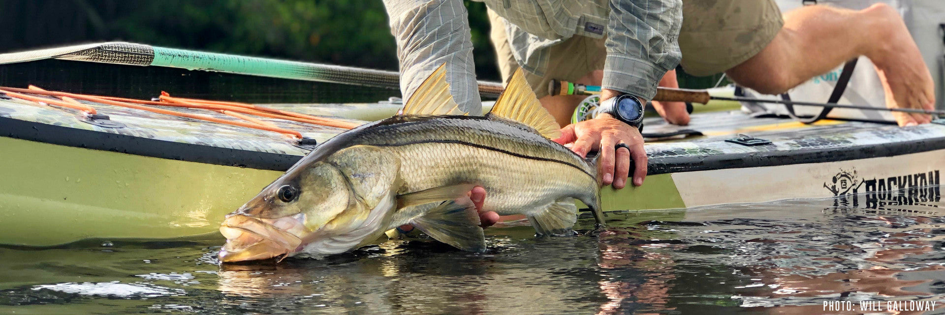 Best Fly Rods for Snook