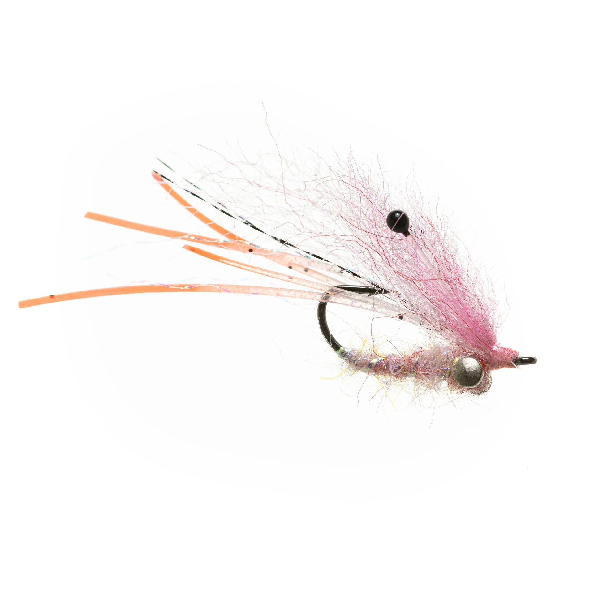 EP Ghost Shrimp Pink #6