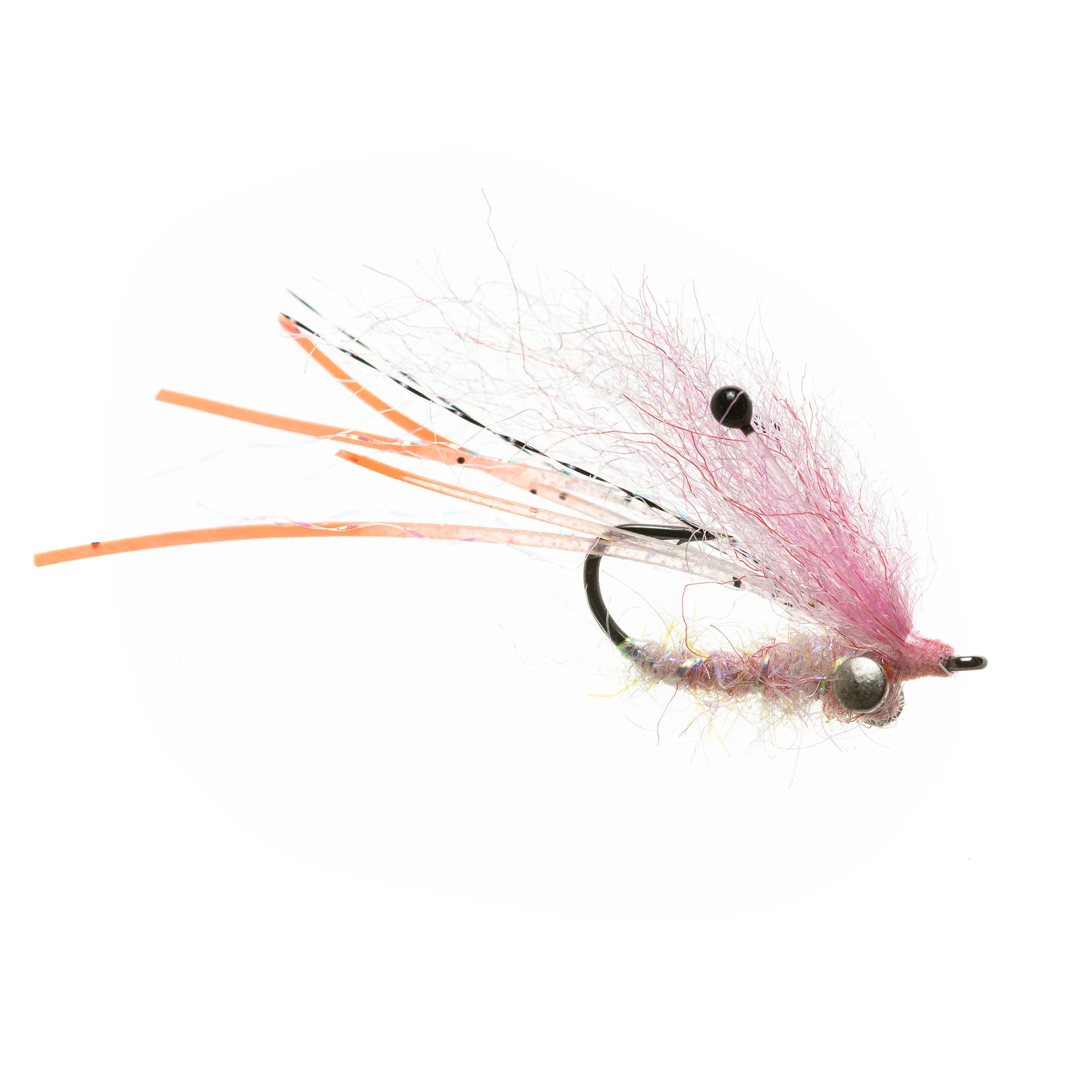 EP Ghost Shrimp Pink #6