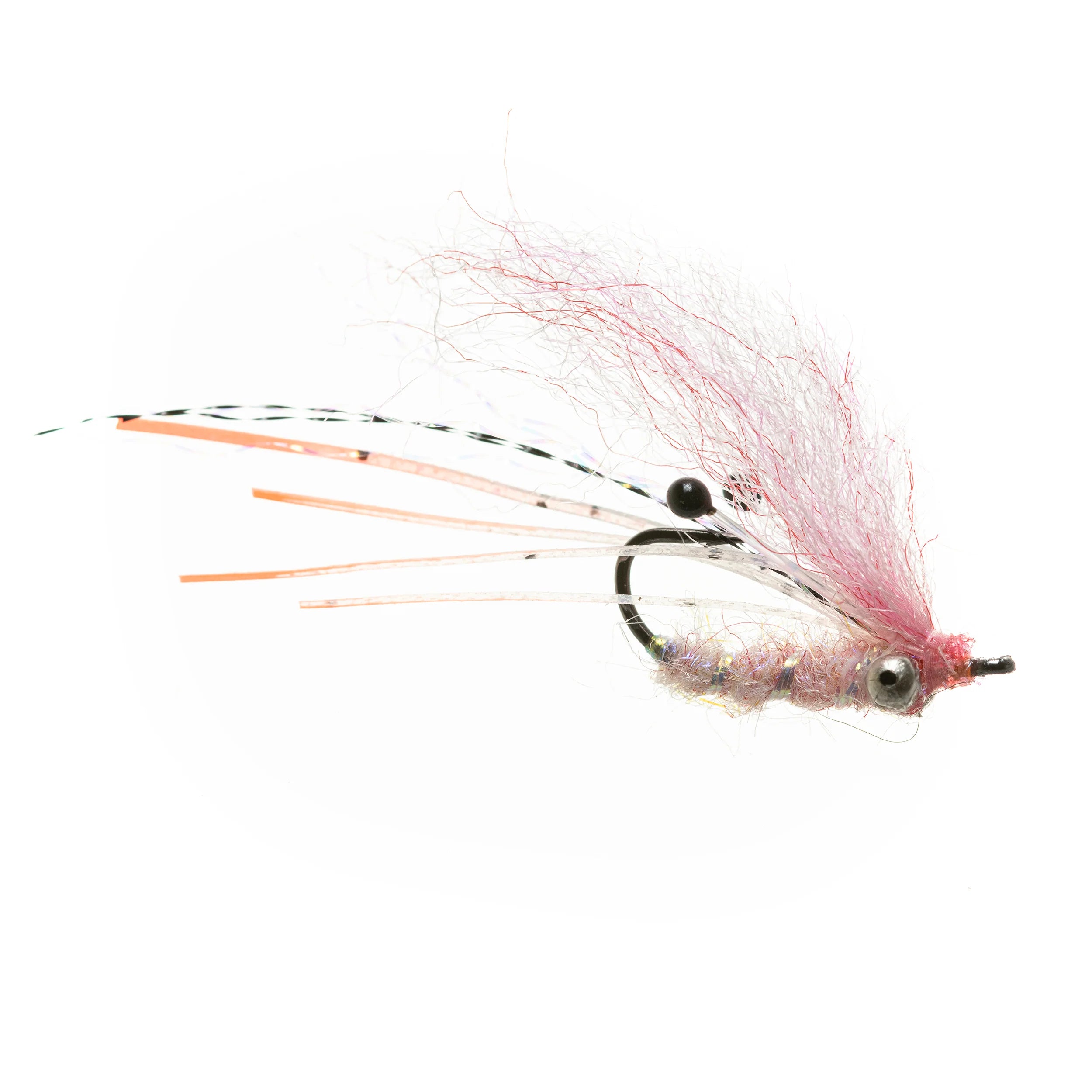 EP Ghost Shrimp Pink BC #6