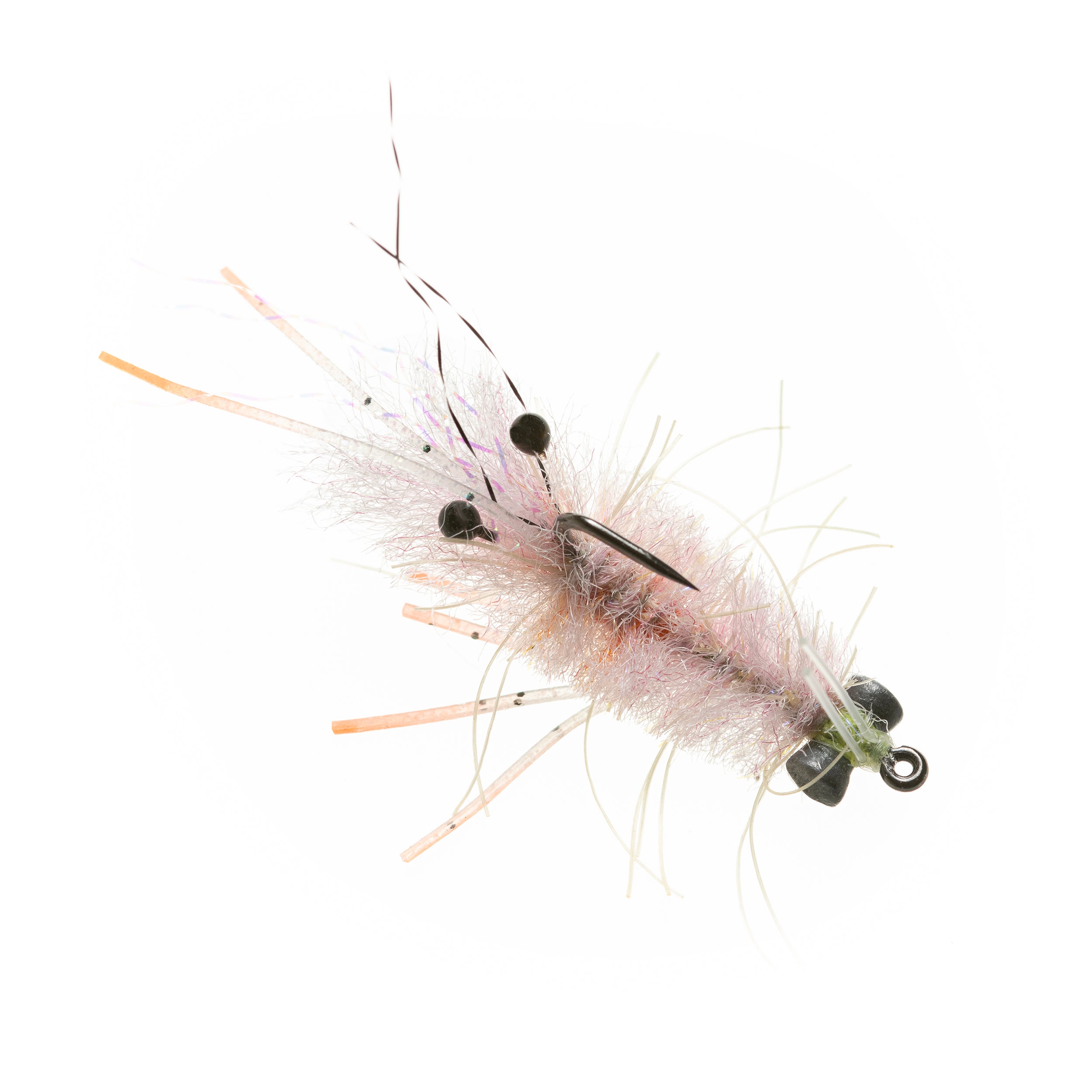 EP Mantis Shrimp Pink #6