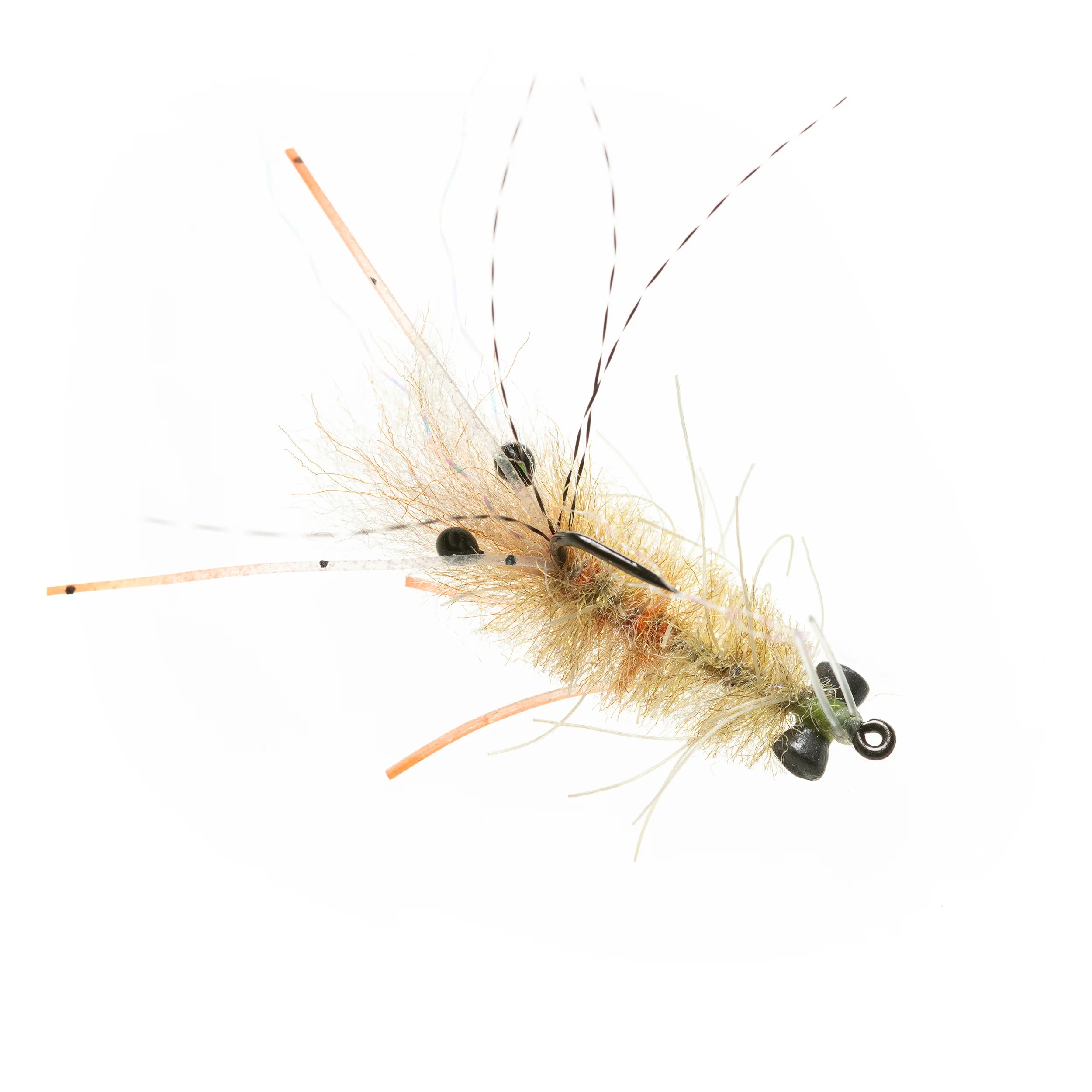 EP Mantis Shrimp Tan #1