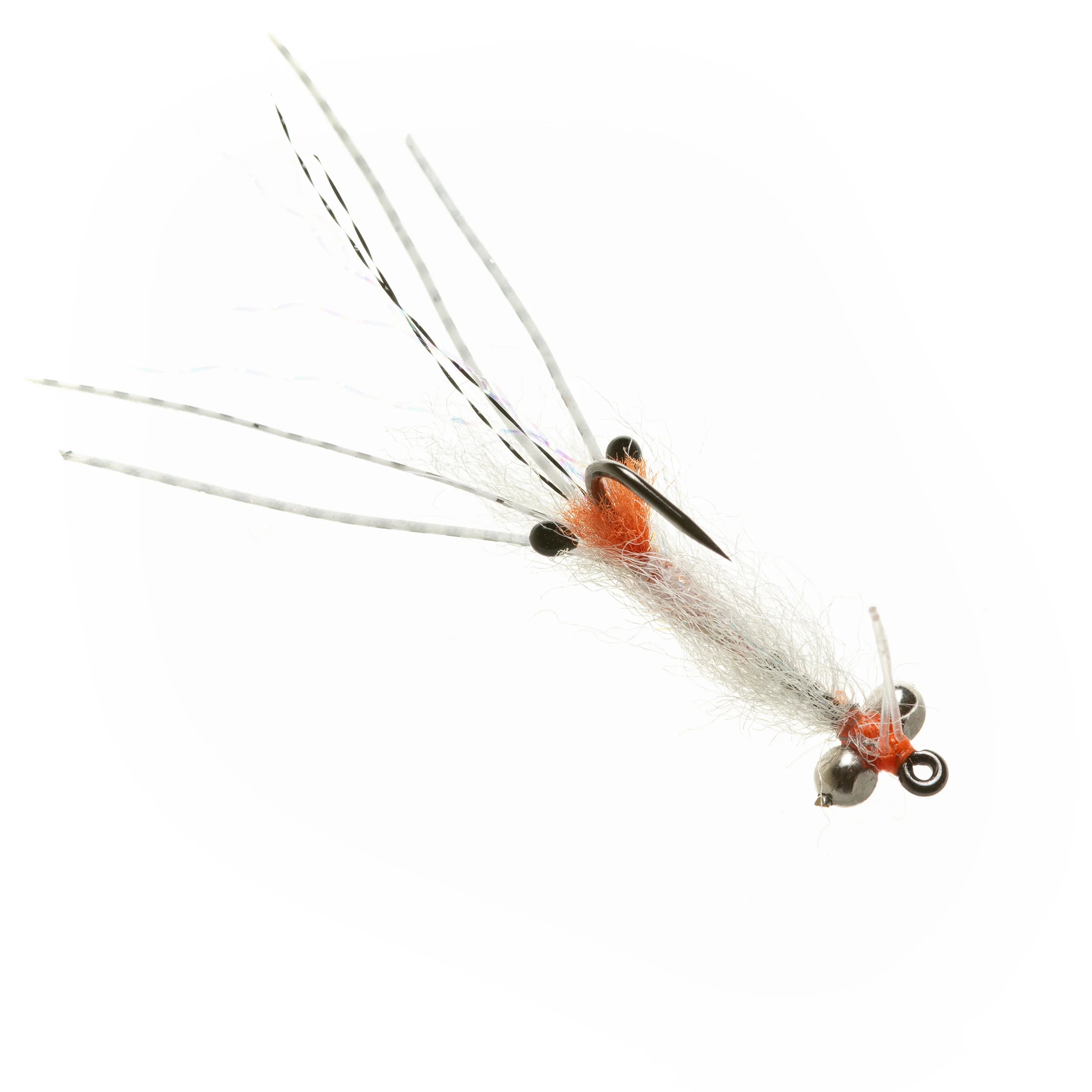 EP Spawning Shrimp Transparent BC #4