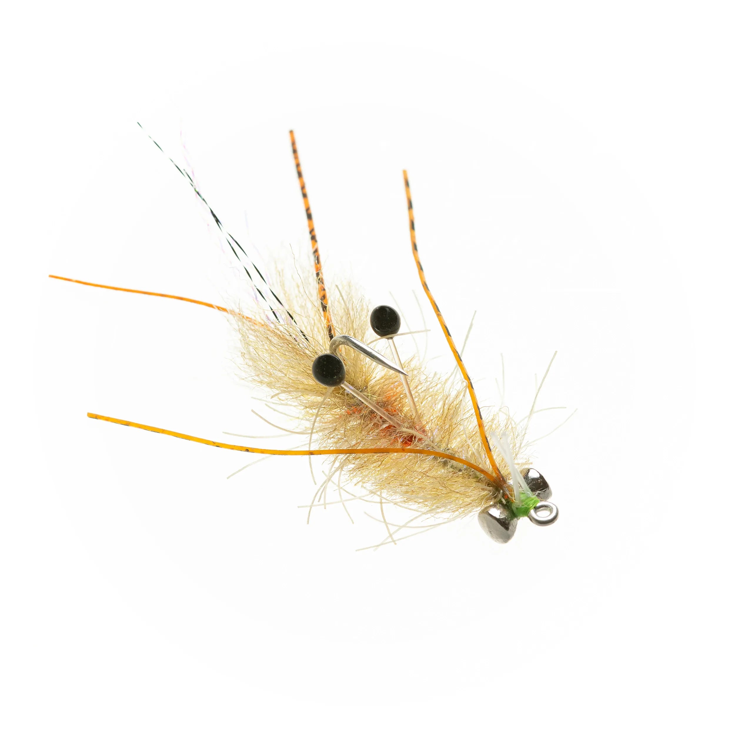 EP Ascension Bay Mantis Golden Sand #1