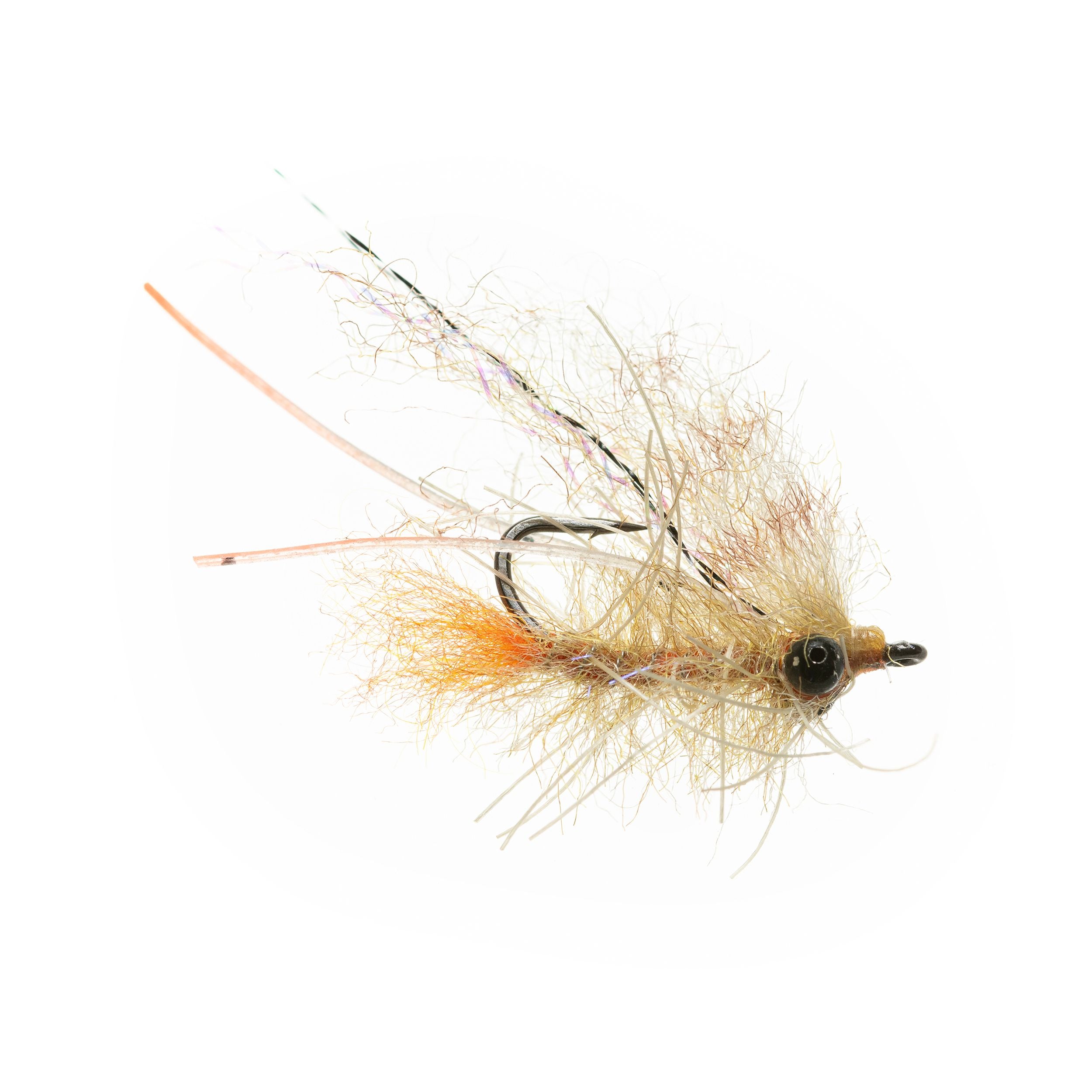 Bahamas Shrimp BC Tan #1