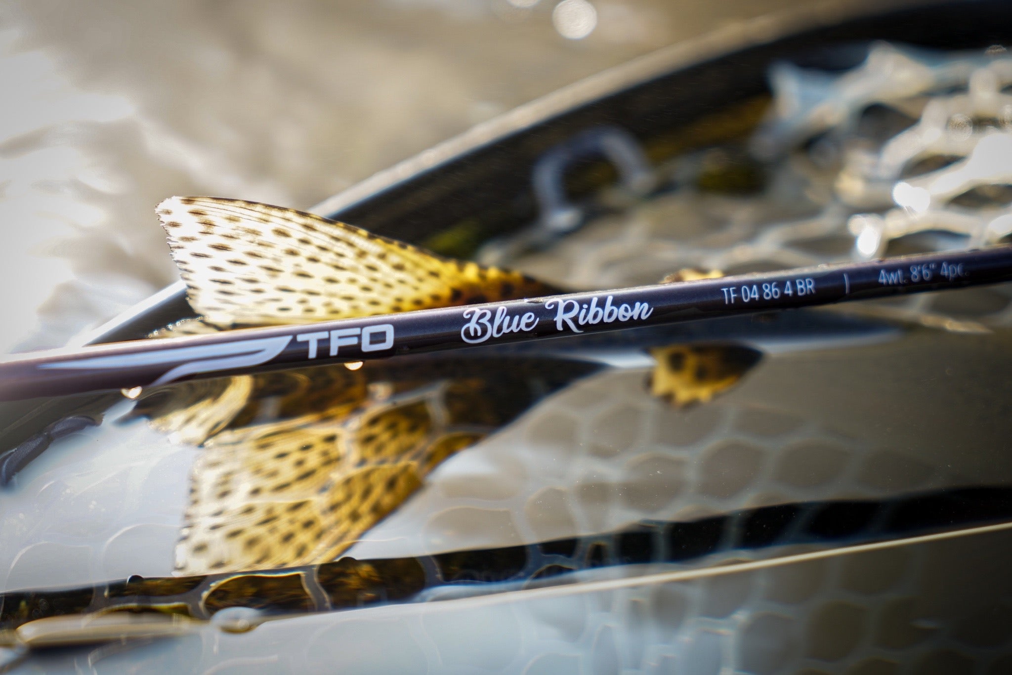 TFO Blue Ribbon Fly Rods