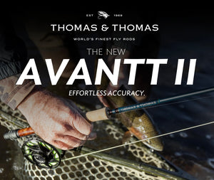 Thomas & Thomas Avantt II 2