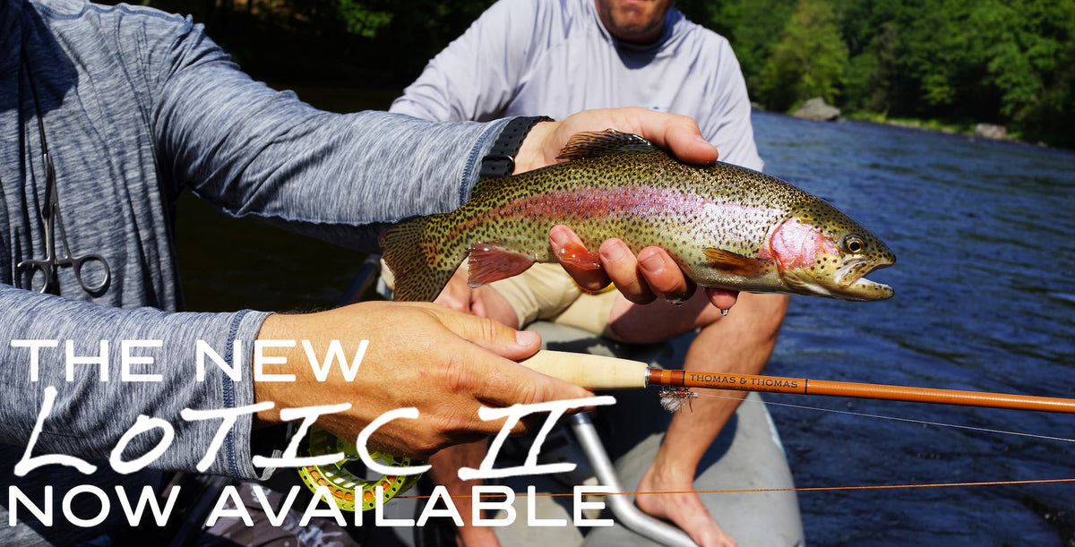 Thomas & Thomas Lotic II 2 Freshwater Fly Rods