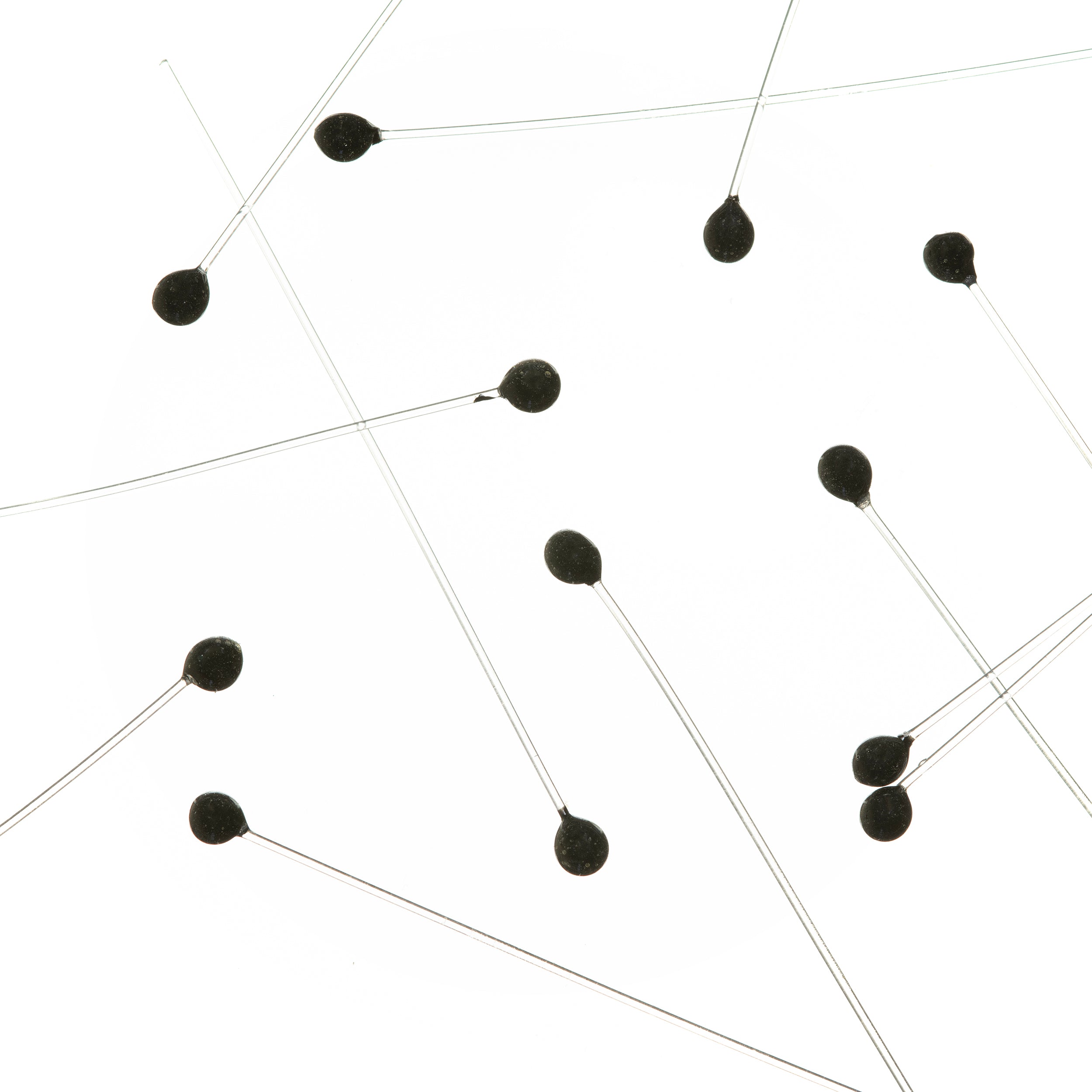 EP Crab/Shrimp Eyes - Black