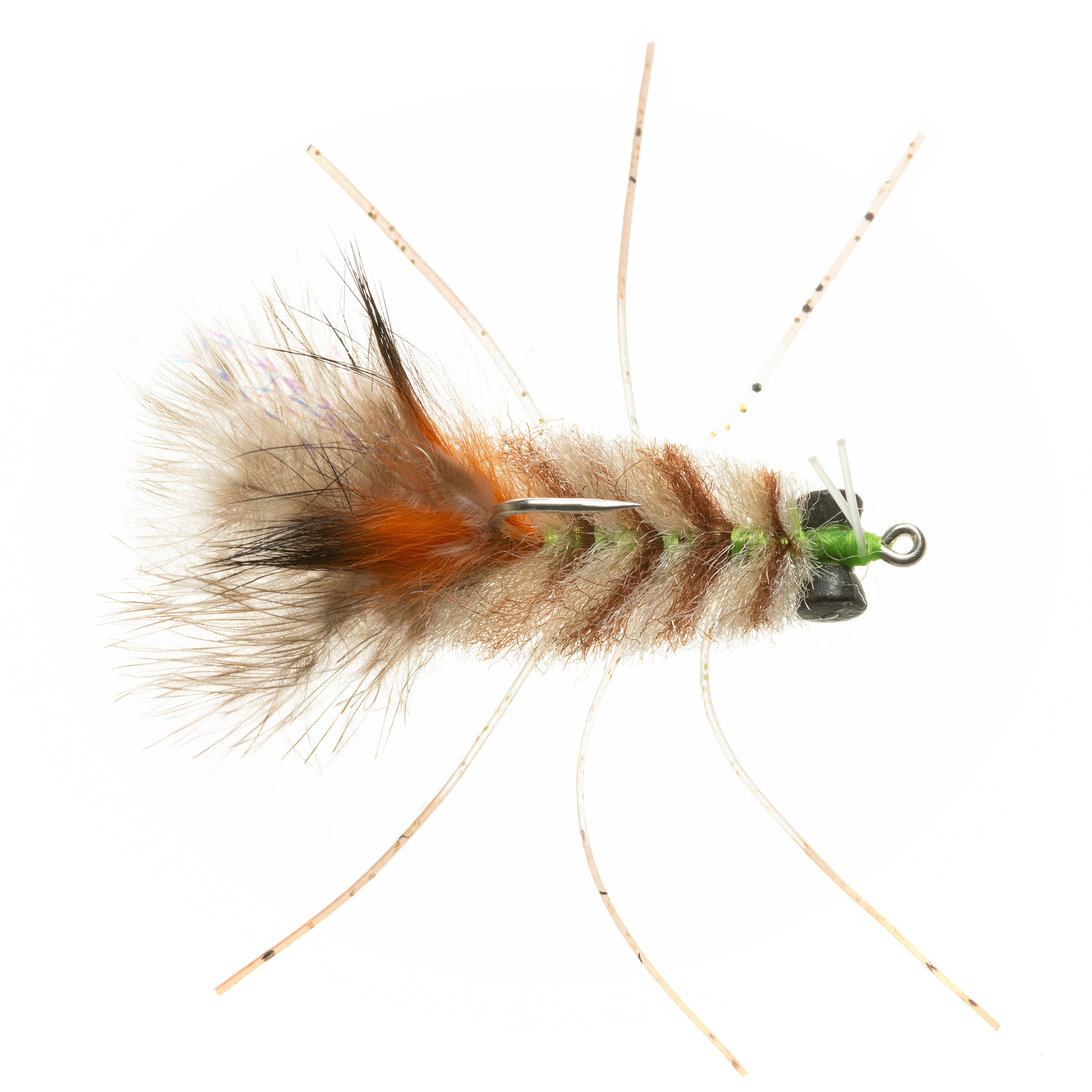 EP Permit Crab 3-Tone #1