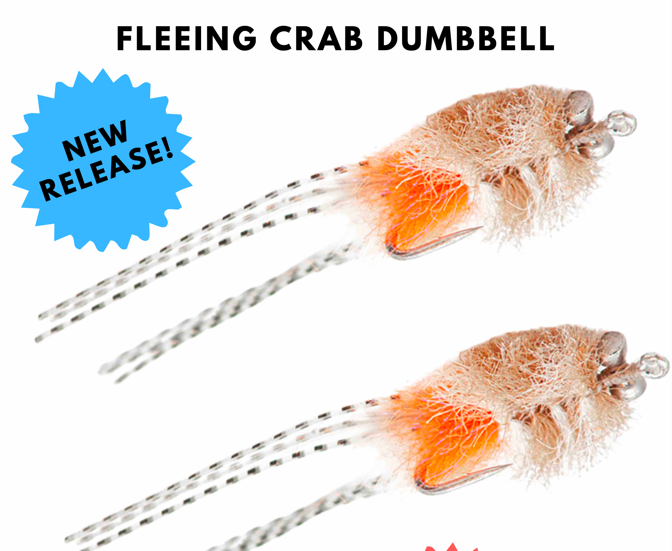 Fleeing Crab Tan & Orange #2 - NEW!