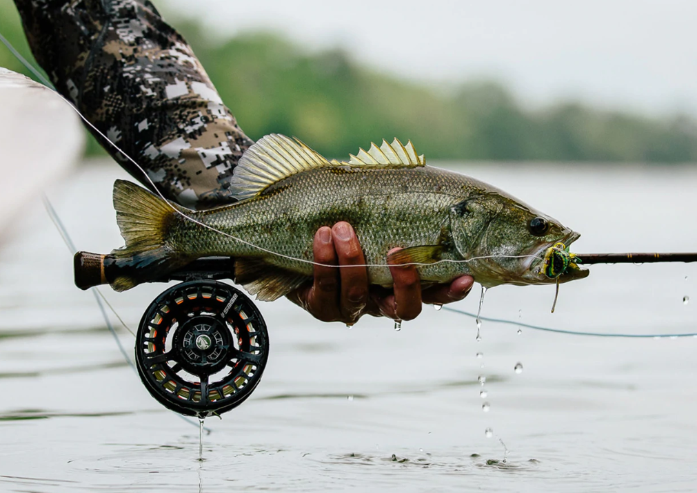 Trout Best 7wt Fly Rod For Smallmouth Bass Sage Smallmouth Bass