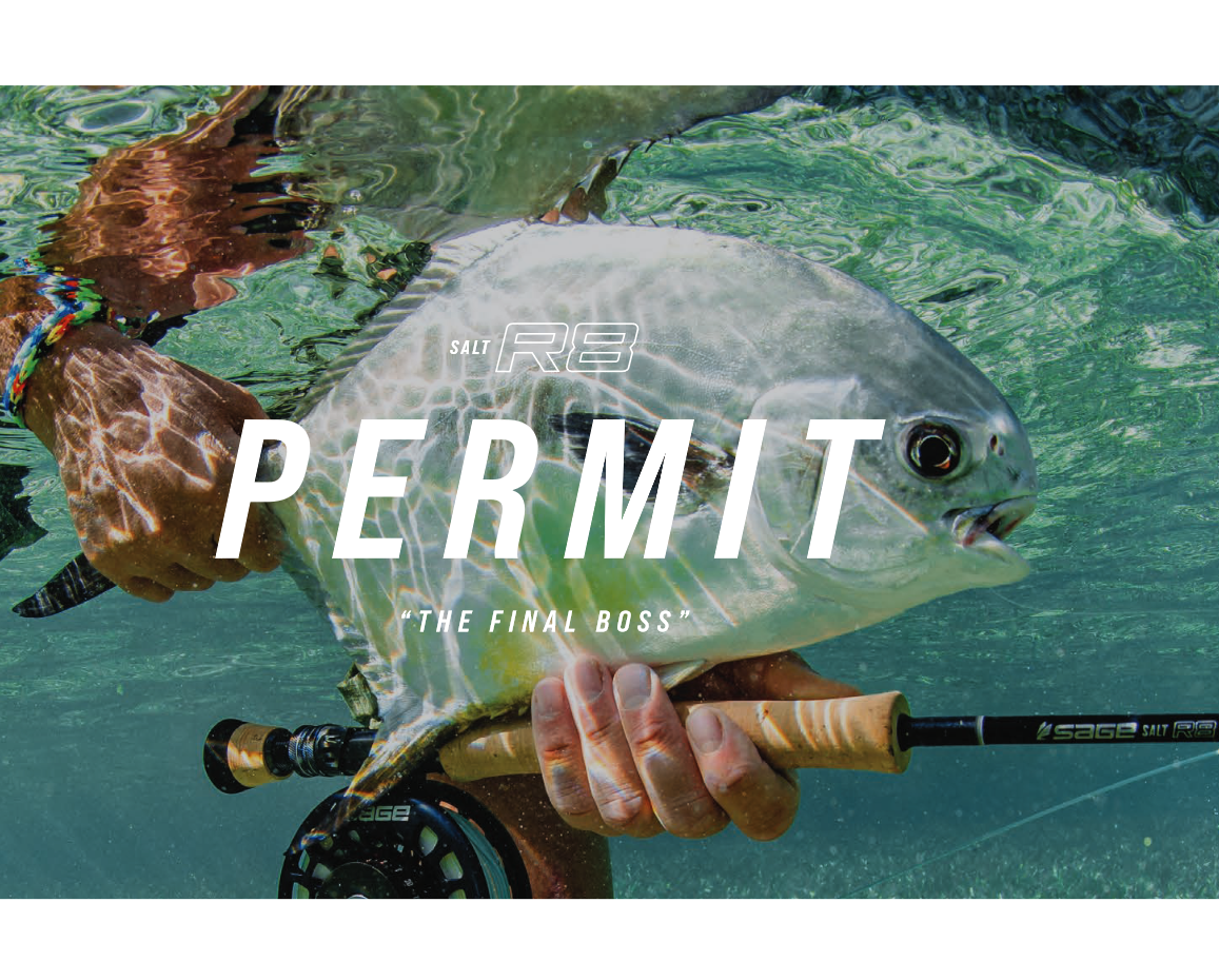 Best Fly Rods for Permit