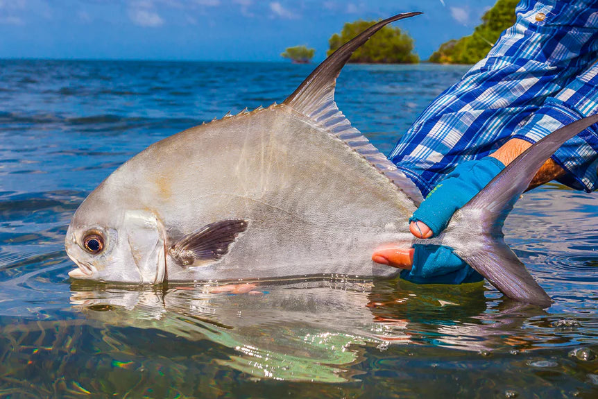 Turneffe Flats Lodge - Belize Fly Fishing Trips