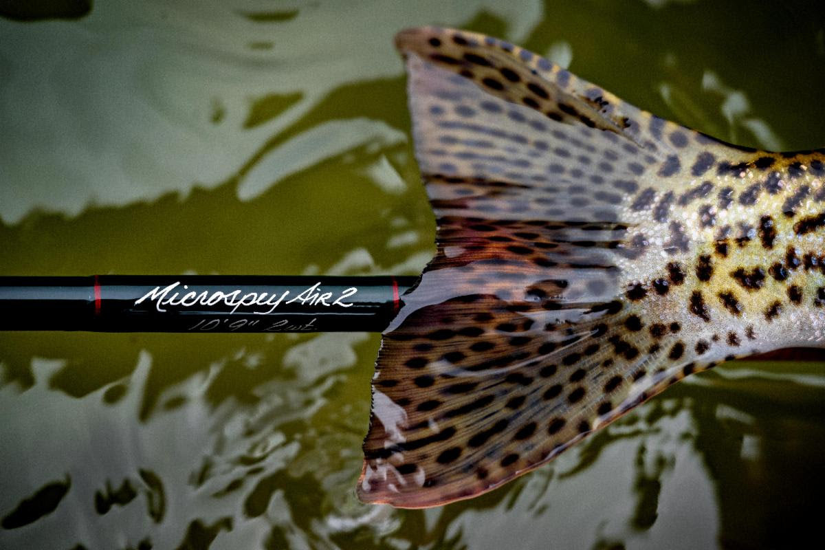 Winston Microspey AIR 2 Fly Rods - New for 2023! Salt Fly Pro Winston Microspey AIR 2 Fly Rods - New for 2023! Salt Fly Pro