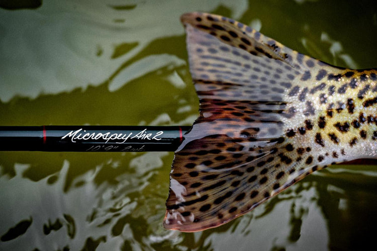 Winston Microspey Air 2 review new fly rod review 2wt 3wt 4wt