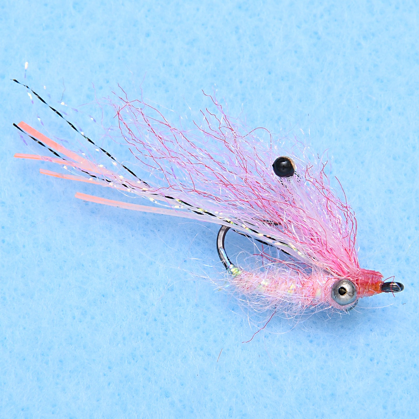 EP Ghost Shrimp Pink BC #6