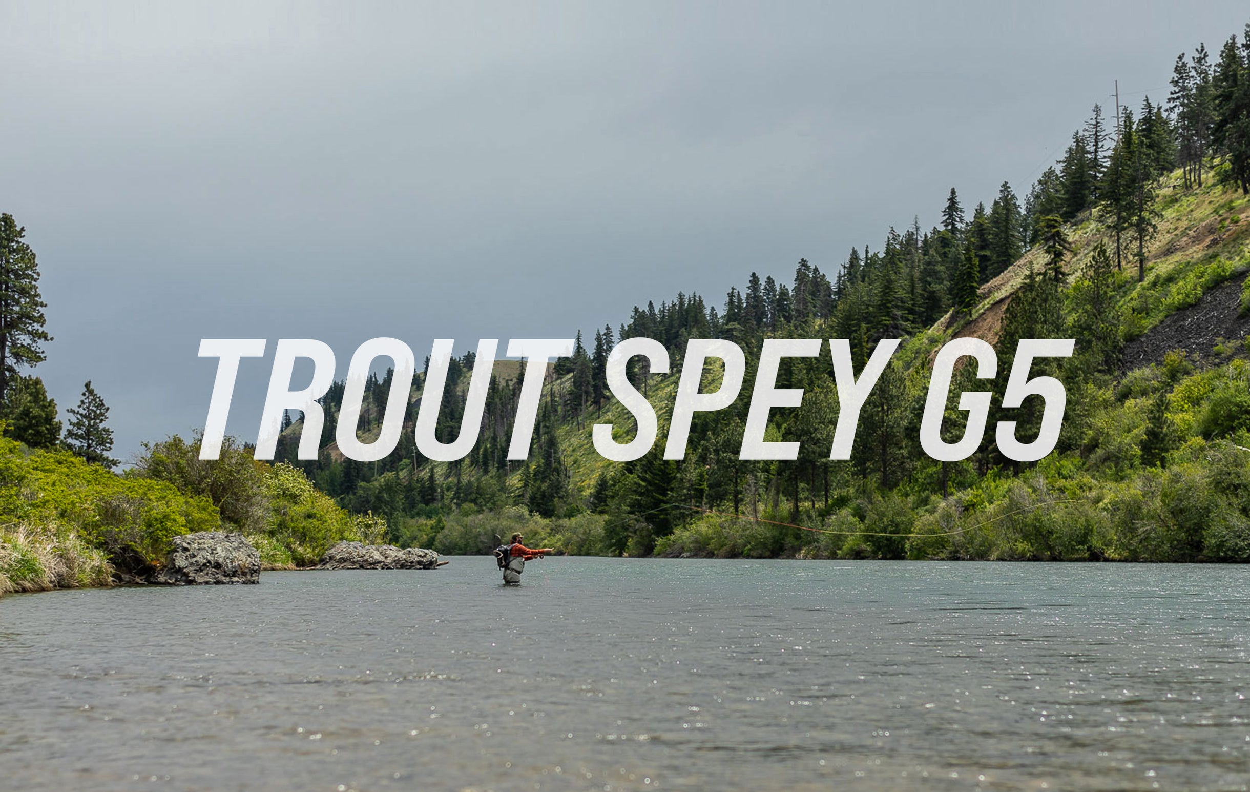 Sage TROUT SPEY G5 Fly Rods - NEW!