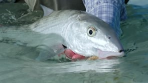 Winston Air SALT Fly Rod for Saltwater