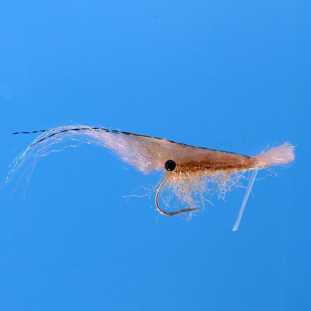 EP Grass Shrimp Tan #1