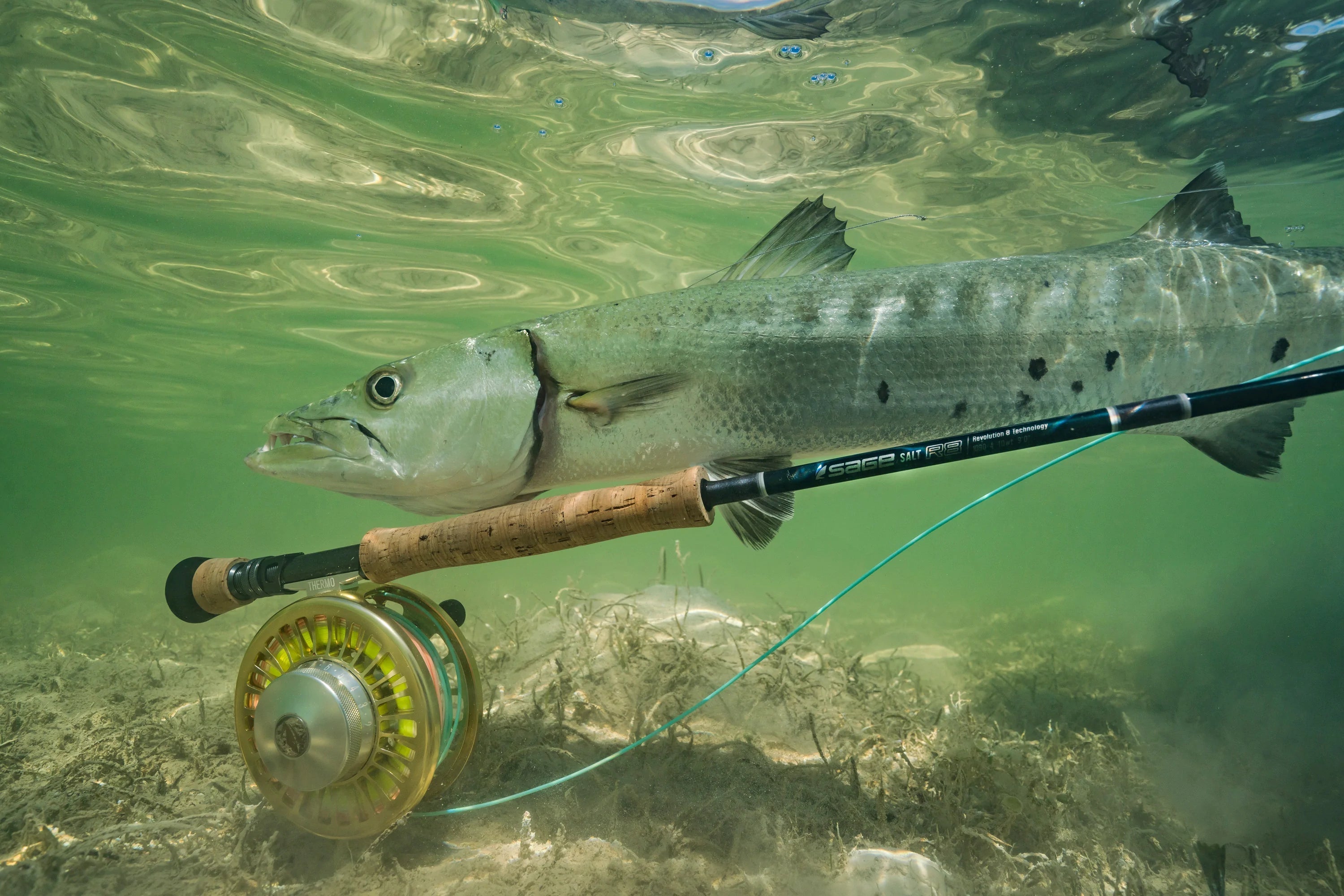 Sage SALT R8 6wt 690-4 Fly Rods - The Best New Rods for Saltwater Fly