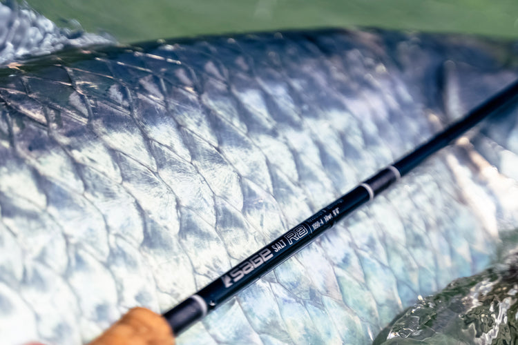 Sage SALT R8 8wt 890-4 Fly Rods - The Best New Rods for Saltwater Fly