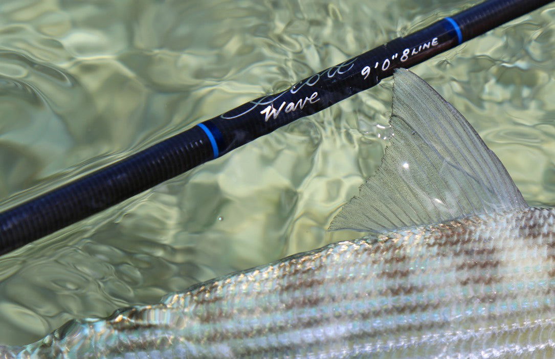Scott Wave fly rod bonefish