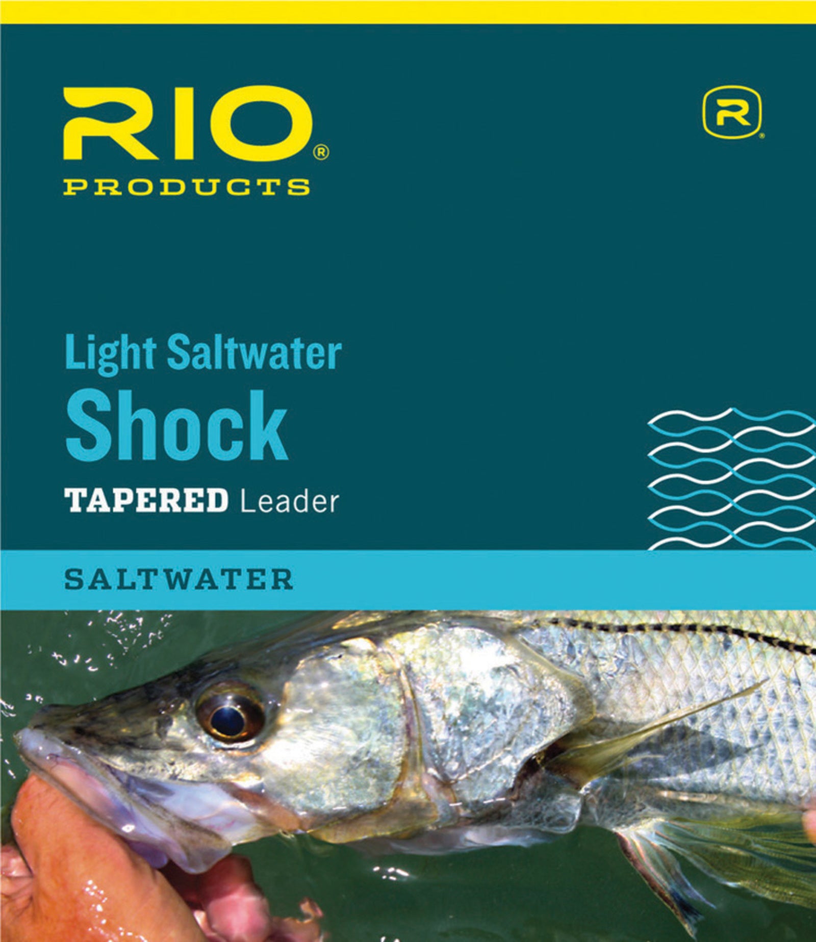 Rio Striped Bass Leader