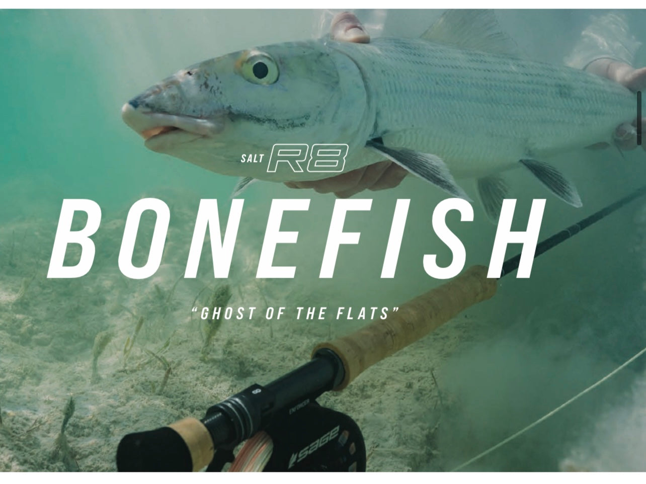Sage SALT R8 Bonefish Fly Rod Combo Outfit