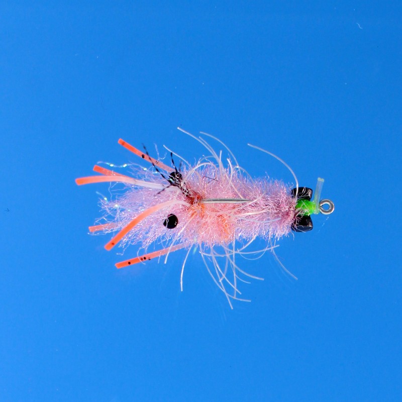 EP Mantis Shrimp Pink #6