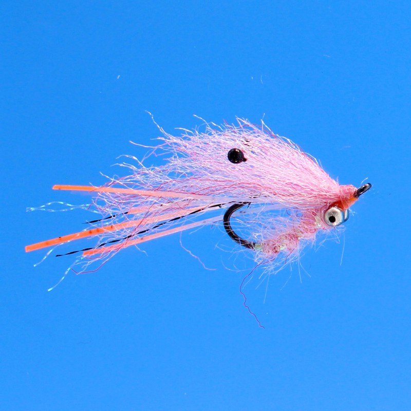 EP Ghost Shrimp Pink BC #6