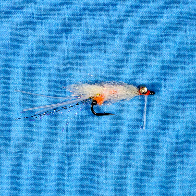Enrio's Spawning Shrimp Transparent